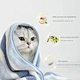 dog body wash